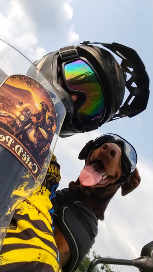 Café de Perro es en honor a su mascota. (Foto: Carlos Vicente/Colaborador)
