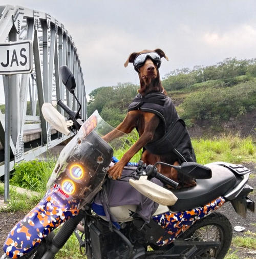 Su mascota lo acompaña como amigo fiel a donde se movilice. (Foto: Carlos Vicente/Colaborador)