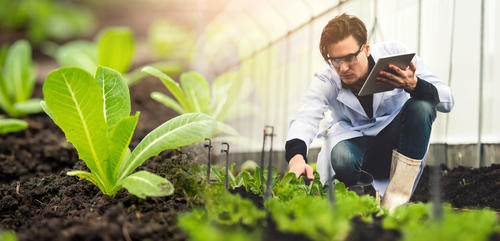 Cerca de 2 mil jóvenes están dedicados a la investigación y desarrollo experimental en Iberoamérica. (Foto: Shutterstock)