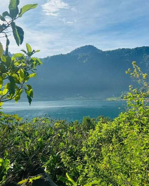 Este espacio busca la conservación del bosque, la protección de las aves e impulsar la educación ambiental. (Foto: Cortesía Finca Venecia)
