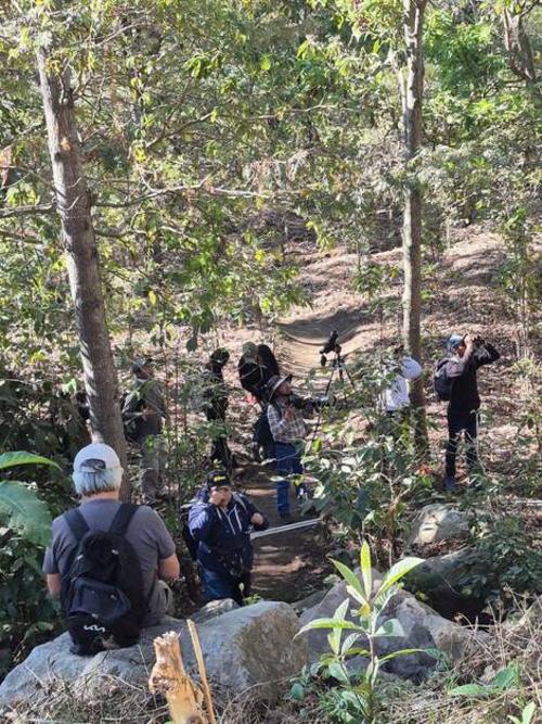 Se recomienda contratar a un guía para la mejor orientación y observación de las especies. (Foto: Cortesía Finca Venecia)