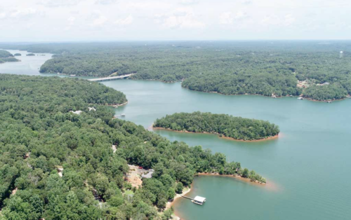 Los migrantes caminaban dentro del lago Hartwell cuando ingresaron a una zona más profunda y ya no pudieron salir. (Foto: Lewis Directed Films)