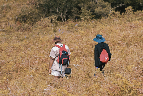 Se estima que más de 3 millones de guatemaltecos está en Estados Unidos y trabajan en condición irregular. (Foto: Canva/Soy502)