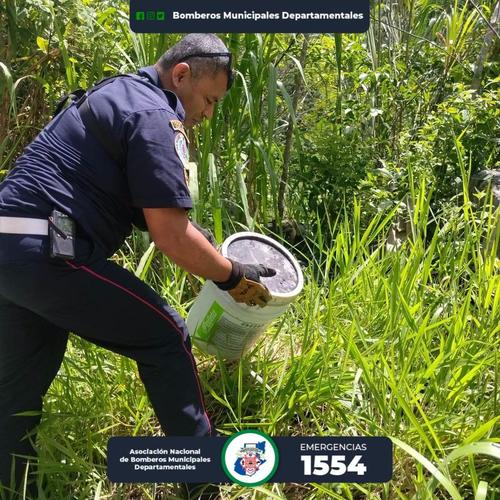 Los socorristas liberaron a la serpiente rescatada en una reserva natural. (Foto: Asonbomd)