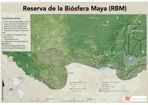 Astrónomo, matemático maya, primer, nombre completo, Sak Tahn Waax hallazgo, arqueología, Guatemala, Soy502 6
