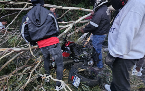 El árbol quedó sobre la motocicleta y la cinta asfáltica. (Foto: ASONBOMD)