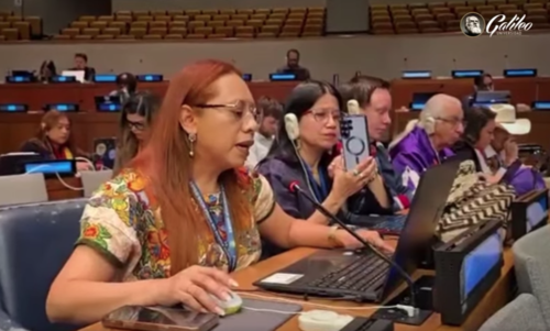 Lesly Batzín, guatemalteca, Organización de Naciones Unidas, pueblos indígenas, noticias, Guatemala, Soy502 3
