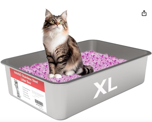 Caja de arena, gatos, limpieza, tipos, cantidad, noticias, Guatemala, Soy502 3