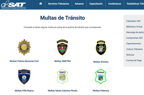 Este es el portal que te desplegará el sitio. (Foto: SAT)