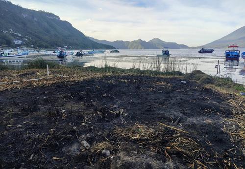 El movimiento "Atitlán Sano" documentó la quema de macoyas a orillas del lago. (Foto: Alfonso Guárquez/Colaborador)