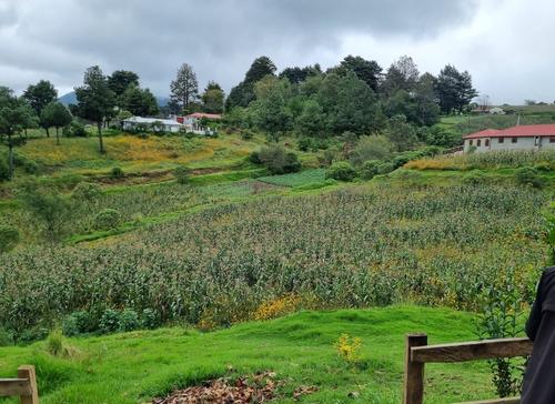 Este es el paisaje que puedes admirar en el rancho. (Foto: Oswaldo Cop/Colaborador)