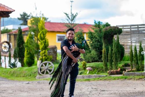 Se puede tener contacto físico con los animales. (Foto: Foto Roca)