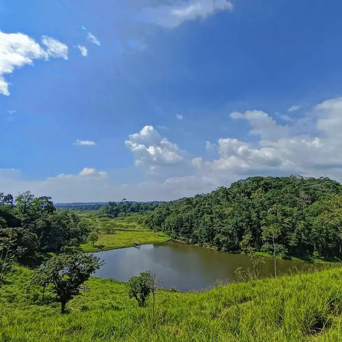 Vista a la laguna San Pedrito. (Foto: IG/Bugama_06)