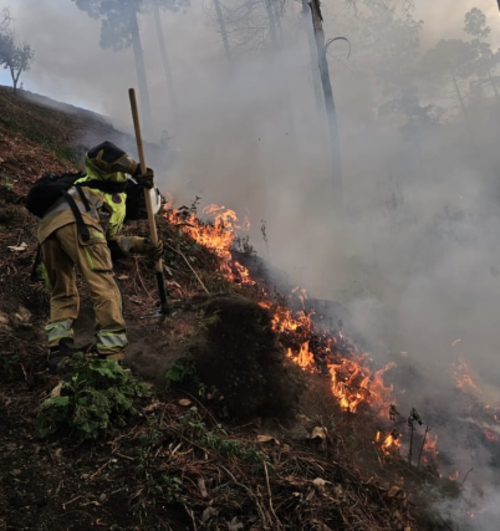 Varios incendios permaneces activos y muchos otros siguen bajo labores de prevención para evitar que se activen. (Foto: Conred)