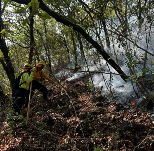 Las autoridades mantienen acciones de combate y liquidación de incendios forestales. (Foto: Conred)