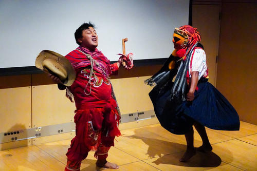 danza guacamayas