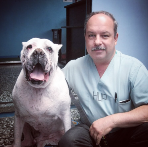 Fallece veterinario caballeros 1