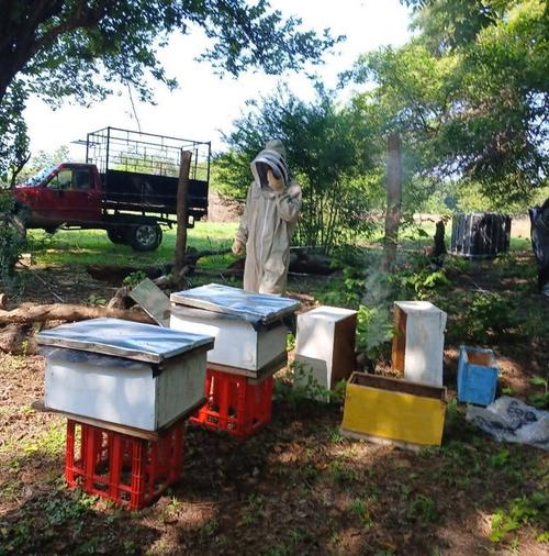 El día que trabaja con las abejas no debe usar lociones, ya que las abejas son muy perceptivas. (Foto: Catalina Jarquín/Colaboradora)