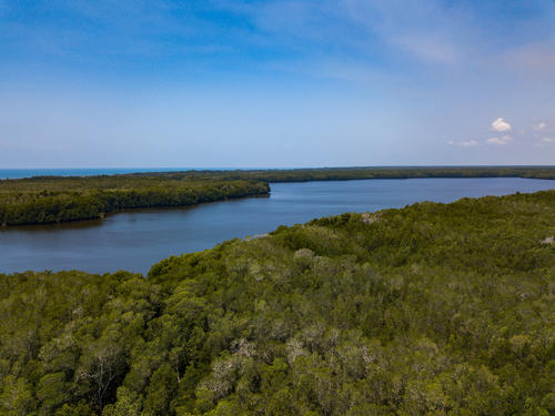 Los recorridos por los canales naturales del Manchón Guamuchal son una experiencia memorable. (Foto: Archivo)