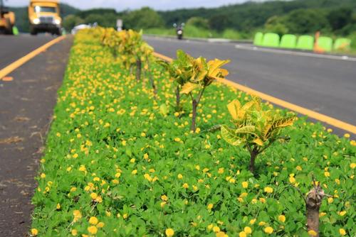 Xochi proviene del náhuatl qué significa flor. (Foto: Byron García/colaborador)