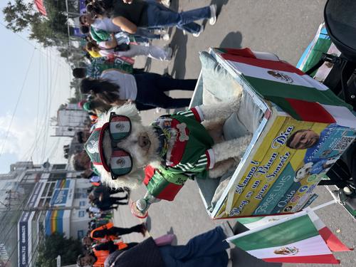 Un perrito llegó bien uniformado a las afueras del estadio Ciudad de México. (Foto: Pedro Pablo Mijangos)