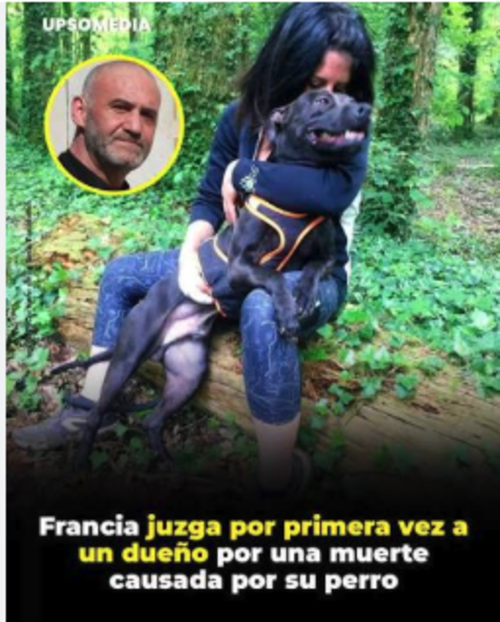 (Foto: redes sociales)