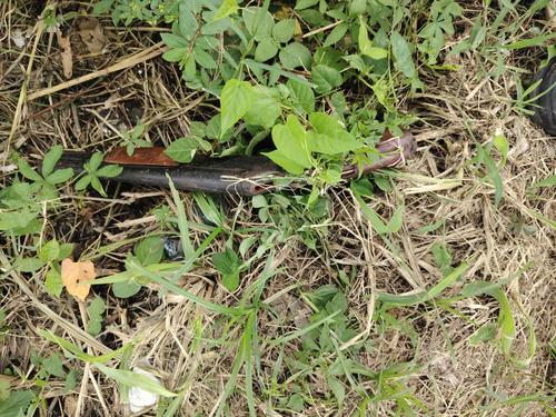 Agentes localizaron una escopeta con el número de registro borrado en la ruta de la persecución. (Foto: PNC)