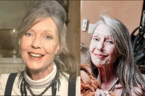 anne sheedeen fallecimiento