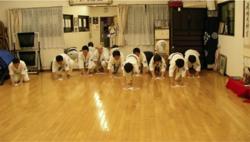 cultura soji 1