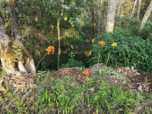 Este bello espacio lleno de naturaleza también es conocido como el Santuario de las Orquídeas. (Foto: Irma Tzi/Colaboradora)