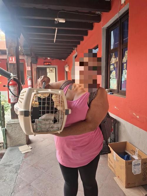 La mujer fue a la estación para poder adoptar a la familia gatuna. (Foto: Bomberos Voluntarios Antigua Guatemala)