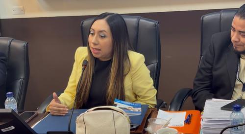Leslie Tzicap González, Directora DIACO indico que las reformas buscan que la entidad tenga mayores capacidades de fiscalización y protección al usuario. (Foto: Archivo/Soy502)