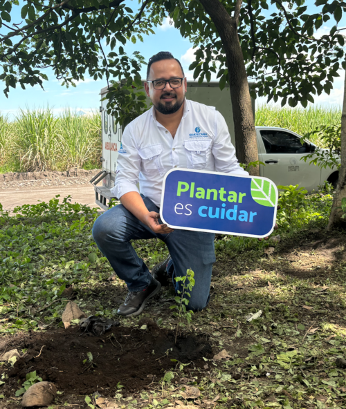 Las jornadas de reforestación buscan recuperar bosques degradados y fortalecer la protección de fuentes de agua. (Foto: Guatecaña)