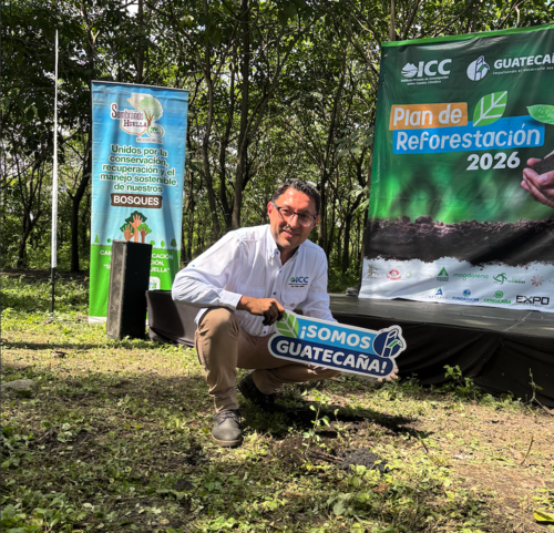 El ICC señaló que la restauración de bosques ayuda a enfrentar los efectos del cambio climático y las altas temperaturas. (Foto: Guatecaña)