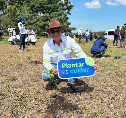 El INAB destacó que la reforestación contribuye a la producción de oxígeno y la conservación de los mantos acuíferos. (Foto: Guatecaña)
