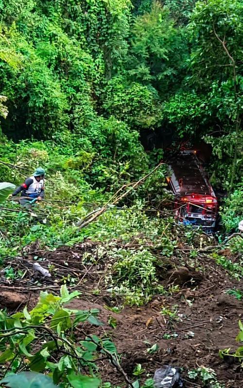 El vehículo quedó atrapado entre la maleza y ramas de los árboles. (Foto: RRSS)