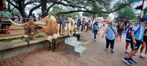 Dallas, vaqueros, turismo, Argentina, Fort Worth Stockyards, Guatemala, Soy502