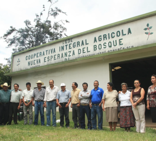 Cooperativa Nueva Esperanza del Bosque (CONEBOSQUE) fue fundada en 2004 con la visión de procesar y comercializar café producido por pequeños y medianos caficultores. (Foto: Conebosque)