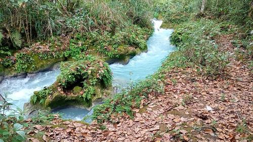 El río Azul está rodeado de una naturaleza sin igual. (Foto: José Gómez/Colaborador)