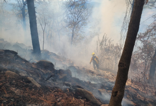 El incendio sucedió en Rabinal, del departamento de Alta Verapaz. (Foto: Conred)