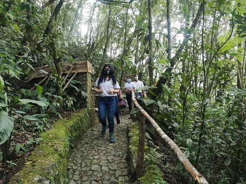 Un recorrido entre neblina y color revela la riqueza natural que resguarda este espacio en Alta Verapaz. (Foto: Irma Tzí/Colaboradora)