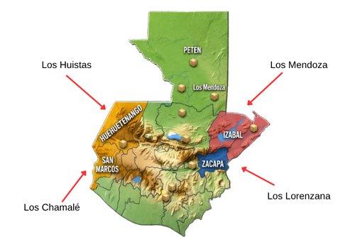 Cuatro clanes famliares controlan el narcotráfico en el país.