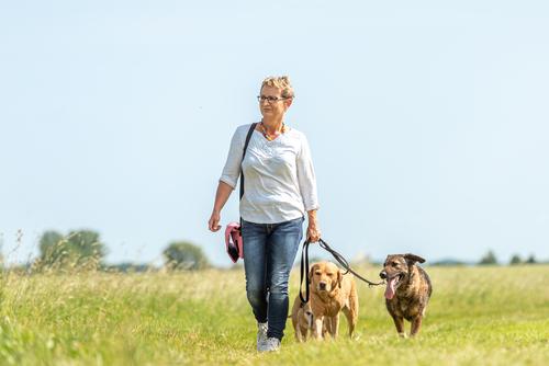 Salir a caminar o a pasear al perro es una buena forma de empezar. (Foto: Shutterstock)