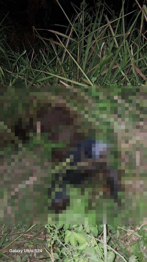 Socorristas indicaron que tenía al menos tres días de fallecido. (Foto: Nuestro Diario)