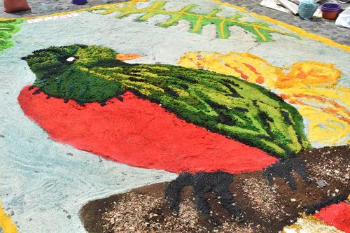 El diseño resaltó sus colores vibrantes típicos del ave nacional. (Foto: Fredy Hernández/Soy502)