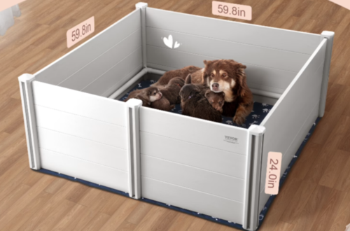 caja perrita labor parto