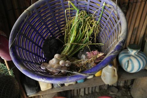 La crisis agroclimática aumenta daños en cultivos y riesgos alimentarios principalmente en el área rural. (Foto: Wilder López/Soy502)