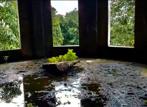 Algunos vecinos comentan que los dueños suelen limpiar el interior. (Foto: San Marcos de antaño)