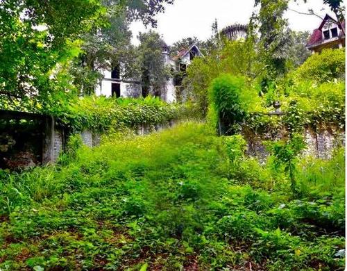 En los alrededores, se encuentra mucha vegetación por la falta de mantenimiento. (Foto: San Marcos de antaño)