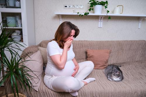 Los síntomas pueden ocurrir entre 30 minutos y 1 hora después de comer. (Foto: Shutterstock)